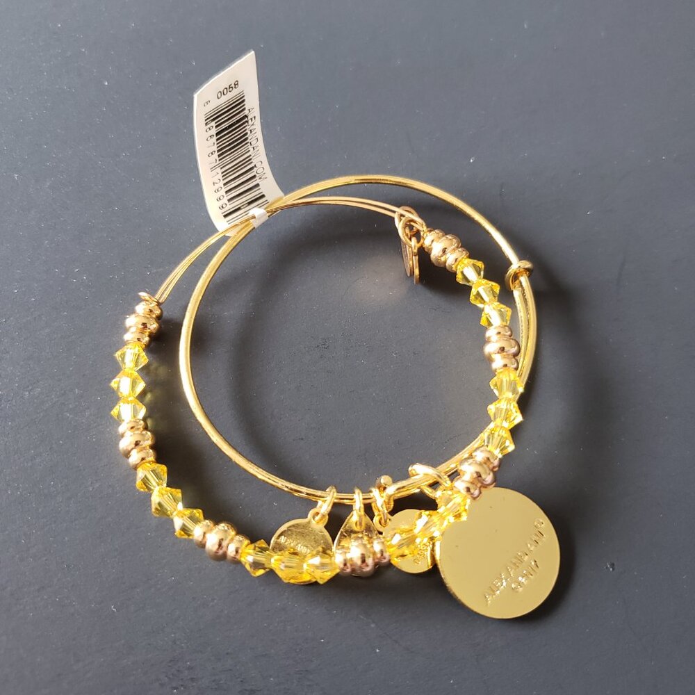 Alex and Ani Gold Art Infusion Calavera Swarovski Set 646 - Picture 4 of 5